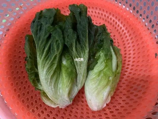 生菜冻了能吃吗?冰冻生菜-图2 生菜冻了能吃吗?冰冻生菜-图2