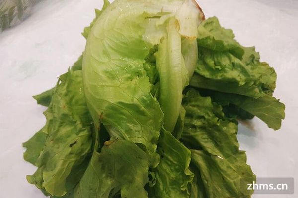 生菜冻了能吃吗？冰冻生菜