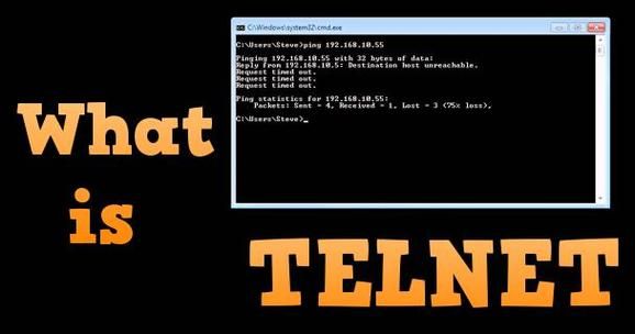telent品牌是男装还是女装?telent-图3 telent品牌是男装还是女装?telent-图3