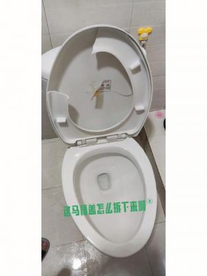 马桶盖怎么更换安装?马桶盖怎么换-图2 马桶盖怎么更换安装?马桶盖怎么换-图2