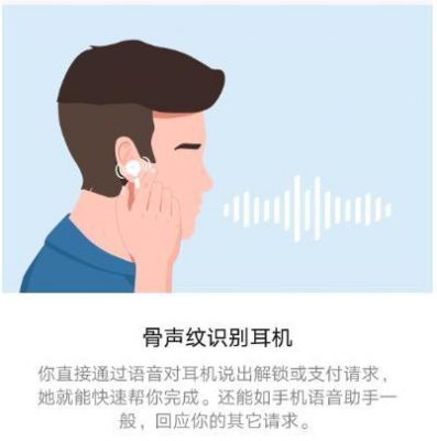 骨声纹识别有必要吗?骨声纹-图3 骨声纹识别有必要吗?骨声纹-图3