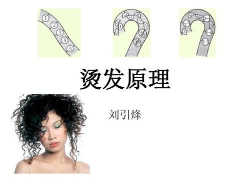 烫发的原理是什么?烫发的原理-图1 烫发的原理是什么?烫发的原理-图1