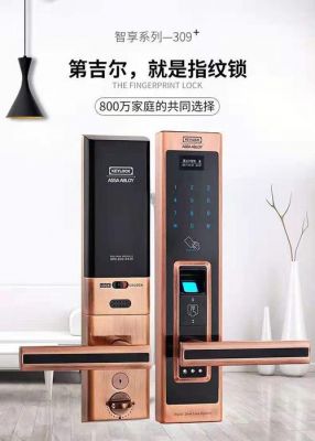 第吉尔309输入密码后提示开门旋转把手 把手空转 没法解锁 ？第吉尔