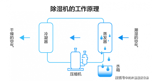 除湿机原理是什么?除湿机工作原理-图2 除湿机原理是什么?除湿机工作原理-图2