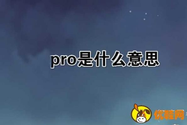 por是什么意思?por是什么意思-图2 por是什么意思?por是什么意思-图2