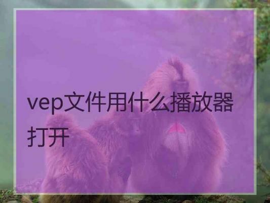 vep格式的文件怎么播放？vep格式