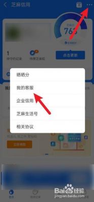 芝麻信用分怎么关掉?怎么关闭芝麻信用-图3 芝麻信用分怎么关掉?怎么关闭芝麻信用-图3