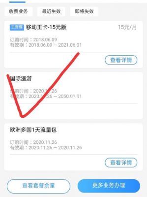如何办理开通国际漫游?国际漫游怎么开-图2 如何办理开通国际漫游?国际漫游怎么开-图2