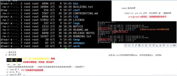 linux中修改权限命令无法执行？nginx权限控制