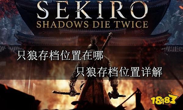只狼之前的存档怎么找?只狼怎么存档-图1 只狼之前的存档怎么找?只狼怎么存档-图1