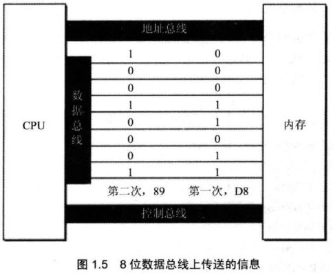 总线的数据传输（总线的数据传输速率与哪些因素有关）