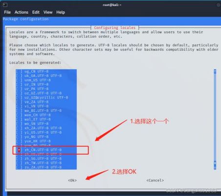 kali如何获取网页权限？kali root 权限不够