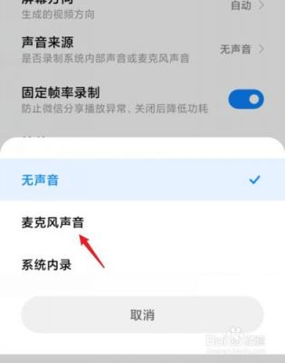 小米录屏怎么录进自己说话的声音?小米输入录音权限-图3 小米录屏怎么录进自己说话的声音?小米输入录音权限-图3