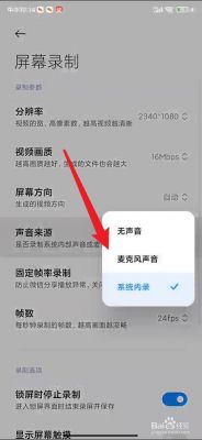小米录屏怎么录进自己说话的声音?小米输入录音权限-图2 小米录屏怎么录进自己说话的声音?小米输入录音权限-图2