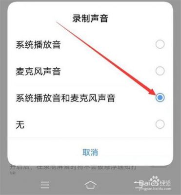 录屏怎么开声音权限?在哪打开声音权限-图2 录屏怎么开声音权限?在哪打开声音权限-图2