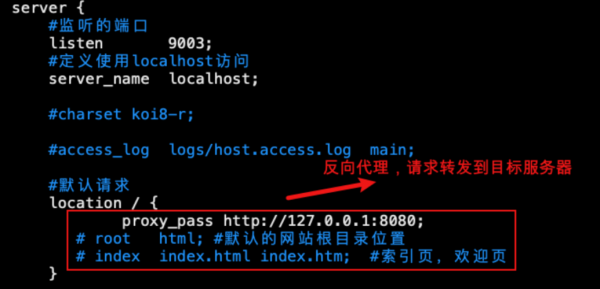 nginx反向代理必须要有tomcat吗？nginx 反向代理 权限