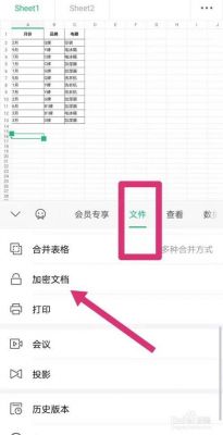 WPS文件夹怎么加密啊?wsp文件权限密码设置-图2 WPS文件夹怎么加密啊?wsp文件权限密码设置-图2