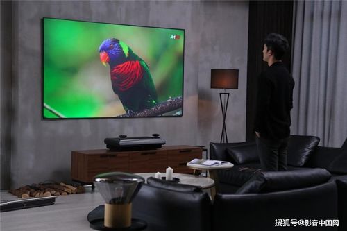坚果激光电视里面有蜘蛛网，怎么清理？坚果激光电视