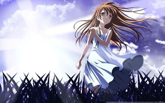 木村心一的动漫作品？ushio