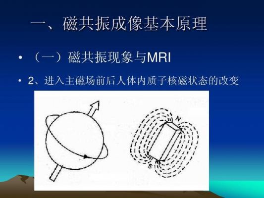 磁场共振传输（人和人的磁场共振）