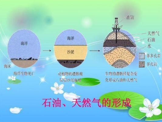 石油的传输方式有哪些(石油如何运输到我们使用的地方)-图3 石油的传输方式有哪些(石油如何运输到我们使用的地方)-图3