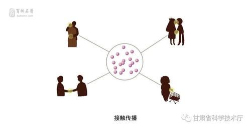 接触传输技术（接触传播的定义是什么）