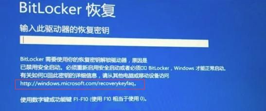 戴尔笔记本开机显示mic(戴尔笔记本开机显示恢复密钥)-图2 戴尔笔记本开机显示mic(戴尔笔记本开机显示恢复密钥)-图2