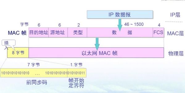 以太网数据帧传输地址（以太网数据帧发送过程）