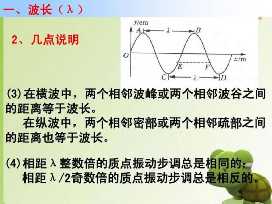 传输线波长怎么计算（传输线 波长）