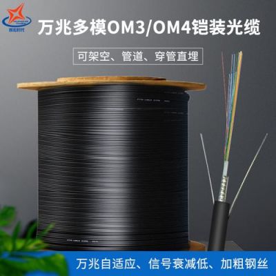 万兆光纤的传输长度(万兆光纤速度有多快)-图3 万兆光纤的传输长度(万兆光纤速度有多快)-图3