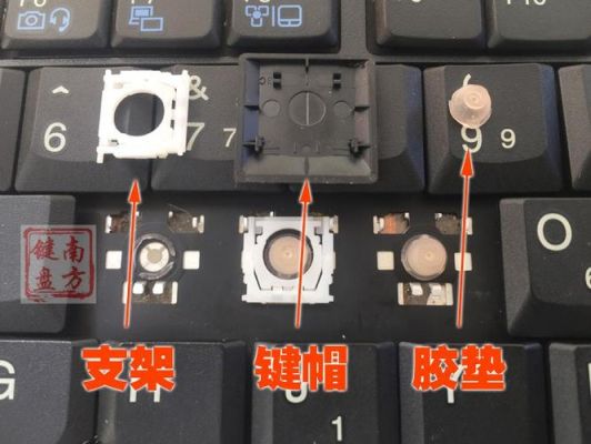 戴尔笔记本y键帽(戴尔笔记本电脑键帽怎么拆)-图3 戴尔笔记本y键帽(戴尔笔记本电脑键帽怎么拆)-图3