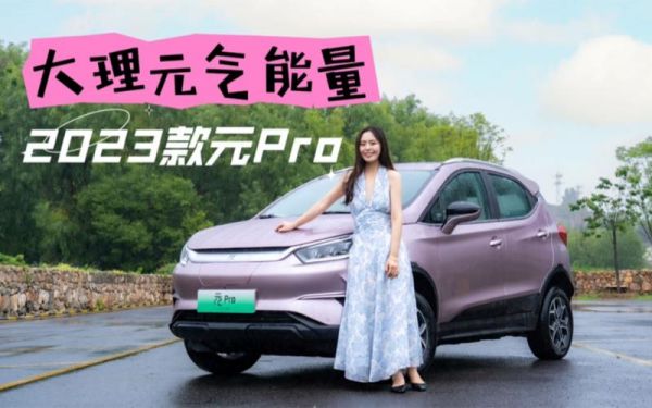 戴尔元气粉（比亚迪元气粉）