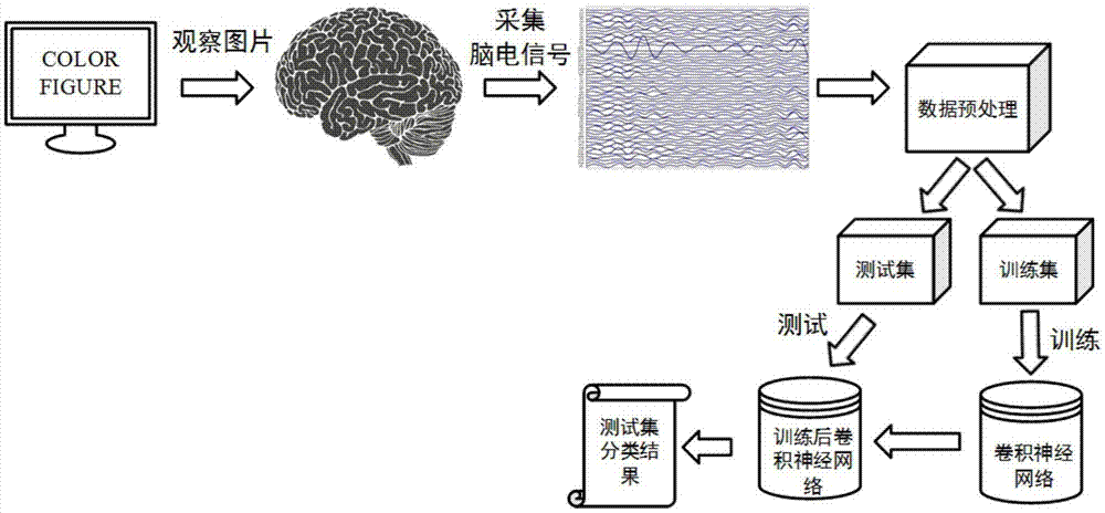 给大脑传输信号仪器（大脑信号传递的两种方式）