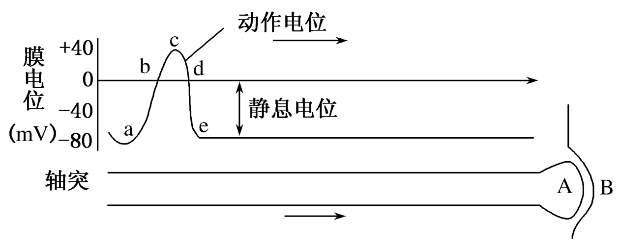 没有连接电流传输(若没有传导电流穿过闭合曲线)-图3 没有连接电流传输(若没有传导电流穿过闭合曲线)-图3