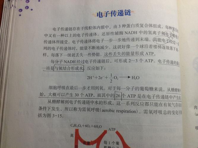 电子传输和电子注入(什么是电子传递)-图3 电子传输和电子注入(什么是电子传递)-图3