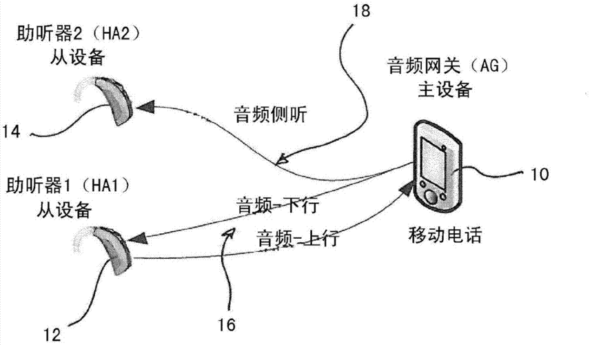 音频信号怎么传输的（音频信号怎么传输的视频）