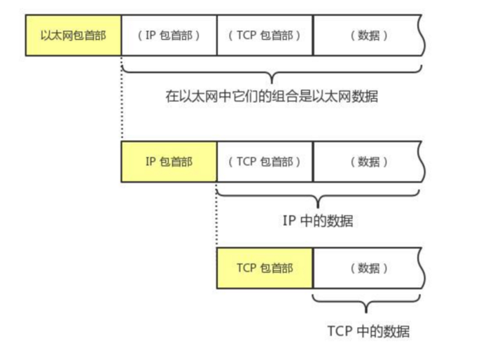 数据传输技术可以分为（数据传输分几种）