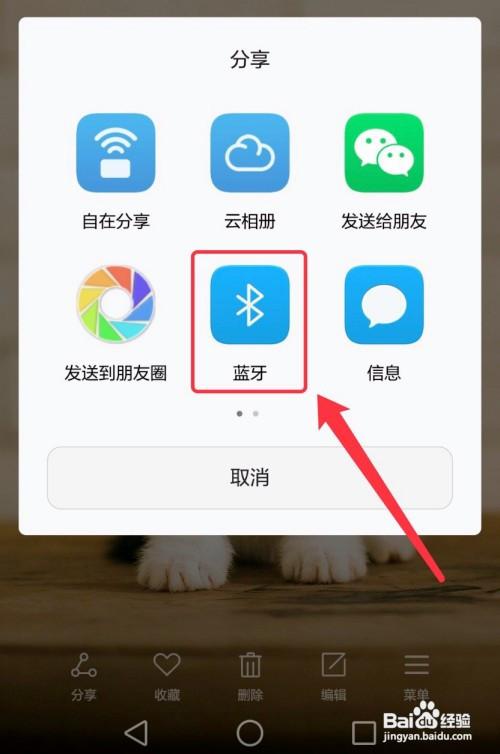 蓝牙传输图像(蓝牙传输图像吗)-图2 蓝牙传输图像(蓝牙传输图像吗)-图2