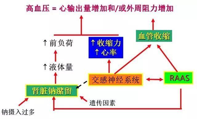心率传输(心率的原理)-图3 心率传输(心率的原理)-图3