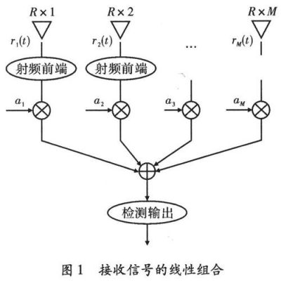传输分集是为了（传输成分包括）