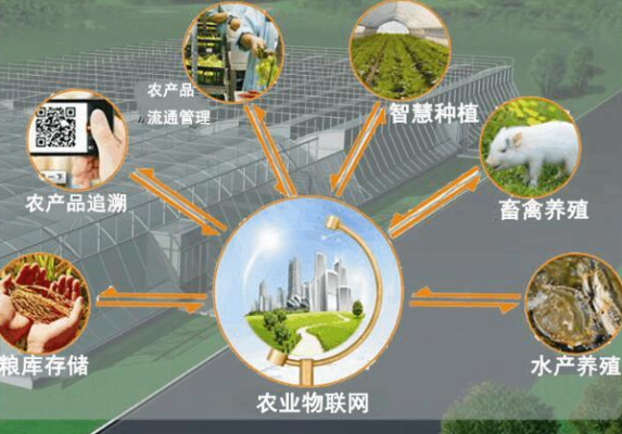 物联网智慧农业传输层(物联网智慧农业传输层包括哪些)-图2 物联网智慧农业传输层(物联网智慧农业传输层包括哪些)-图2