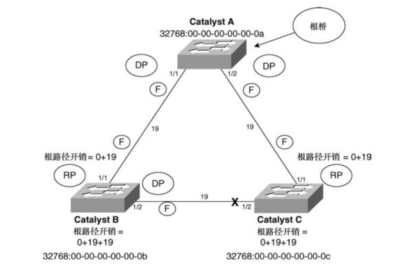 什么是tutk传输(trunk传输)-图1 什么是tutk传输(trunk传输)-图1