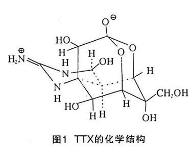 包含ttx跑分的词条