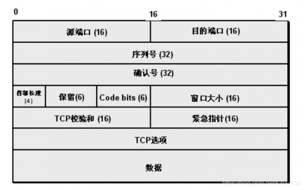 传输数据控制字（数据传输控制协议是什么）