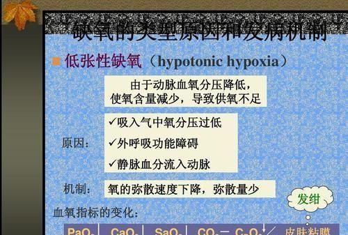 uc传输网站（缺氧为什么会引起神经细胞兴奋性降低）