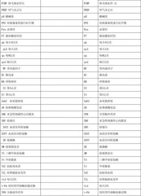 传输速度翻译(传输速率缩写)-图2 传输速度翻译(传输速率缩写)-图2
