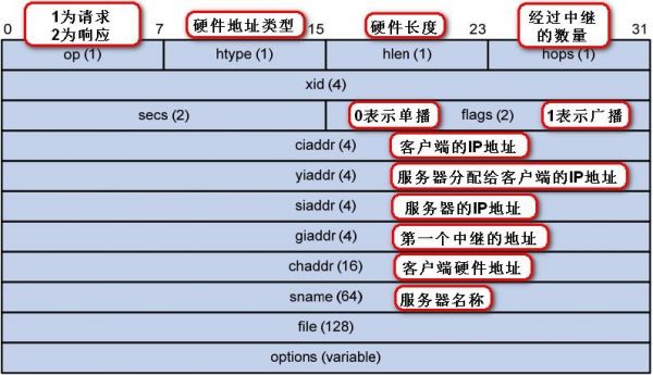 Dhcp传输层是udp（dhcp客户端进行数据传输的端口是）-图3
