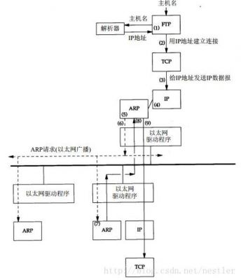 arp通过什么传输(arp协议传输过程)-图2 arp通过什么传输(arp协议传输过程)-图2