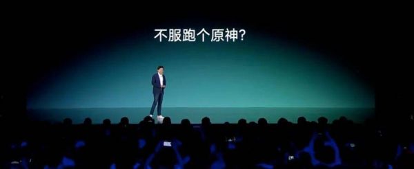 雷军不服跑个分视频(雷军被骂,一点不冤)-图3 雷军不服跑个分视频(雷军被骂,一点不冤)-图3