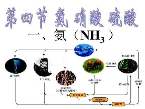 氨气传输(氨气主要通过什么进入人体)-图1 氨气传输(氨气主要通过什么进入人体)-图1